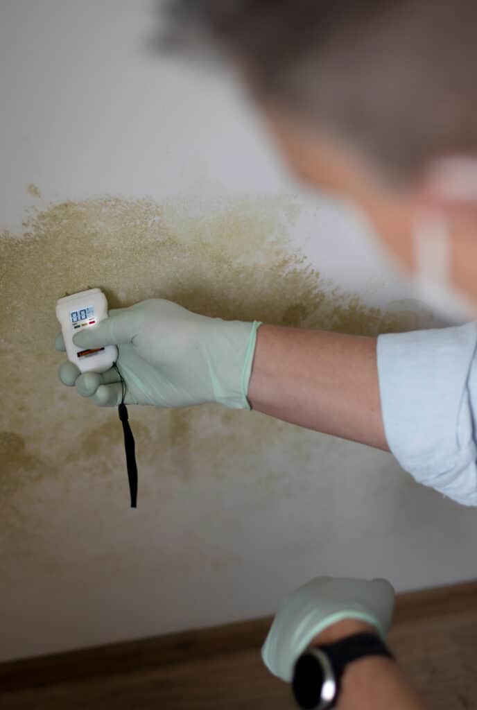 Un expert ganté mesure l'humidité sur un mur taché de moisissure jaune-vert avec un humidimètre affichant 0.0 %.